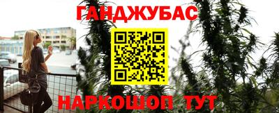 сатива Моздок