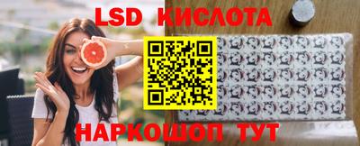 сатива Моздок